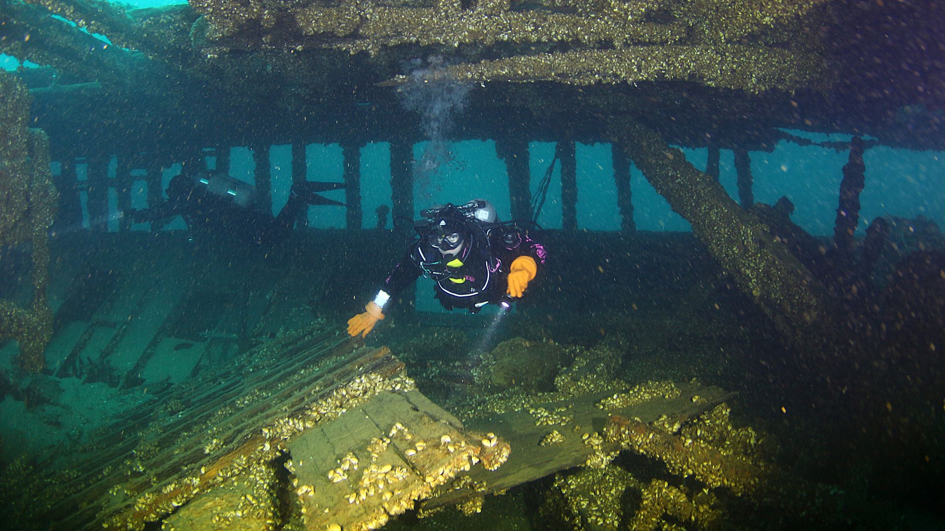 Divers on a Great Lakes trip preparing for a wreck dive