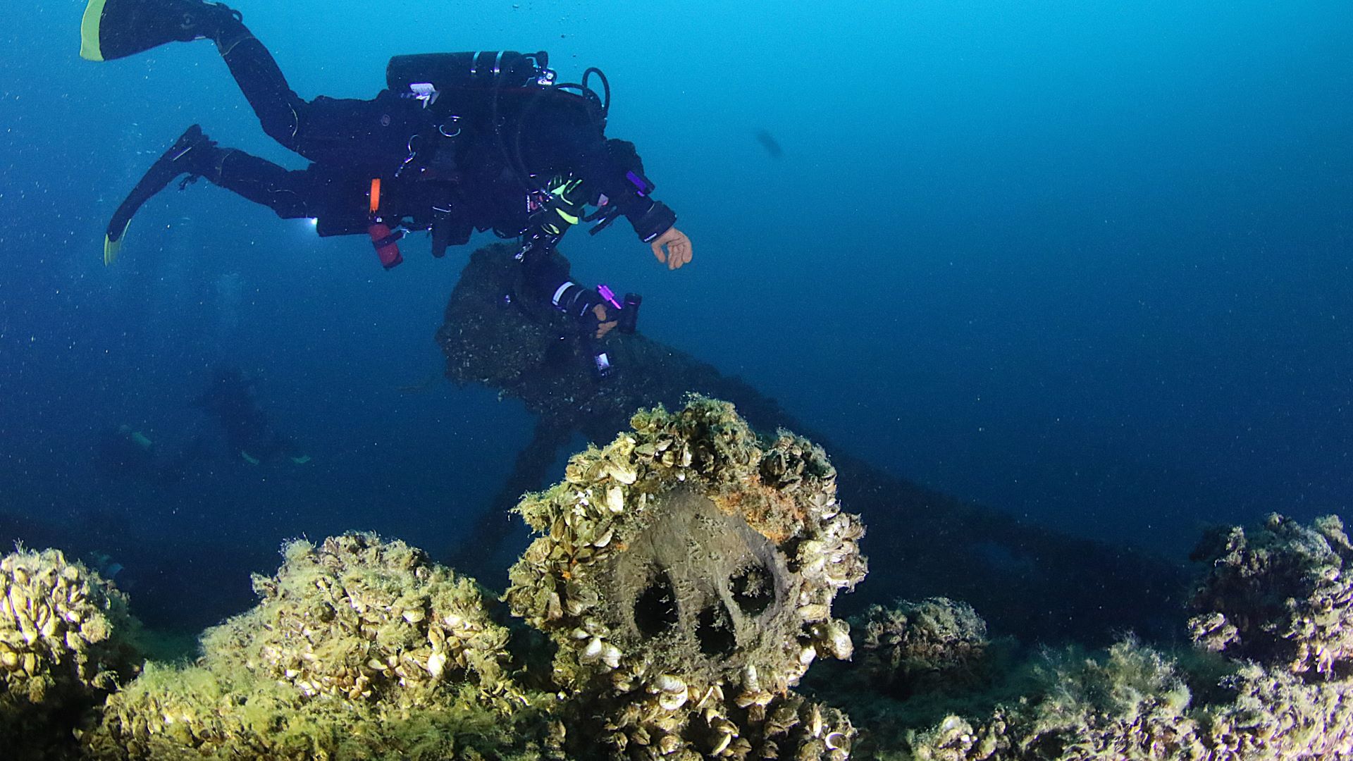 Divers gearing up for cold-water diving